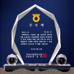 크리스탈상패12