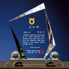 크리스탈상패30
