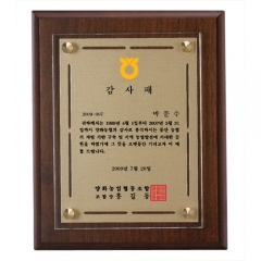 다보상패1