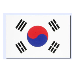 대형태극기