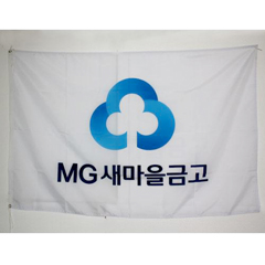 대형금고기