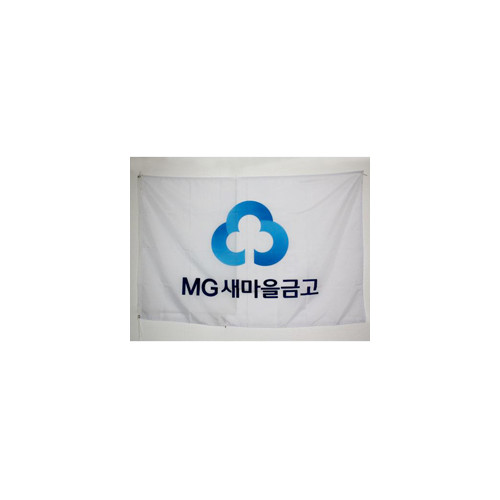 대형금고기