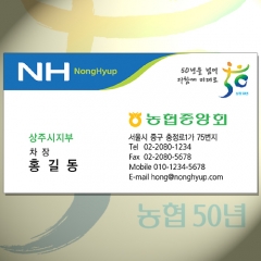 키칼라 아이스골드지/양면